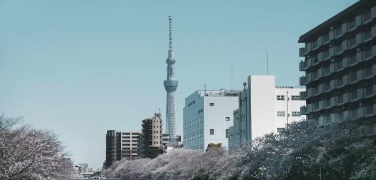Todos los países asiáticos con sus capitales Tokio, japón