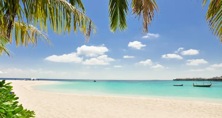 Barbados Geografía, Historia y Cultura de Barbados