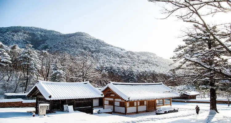 Geografía, Historia y Cultura de Corea del Norte